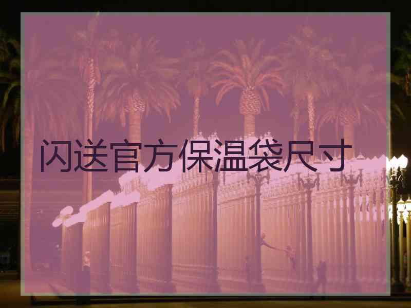 闪送官方保温袋尺寸