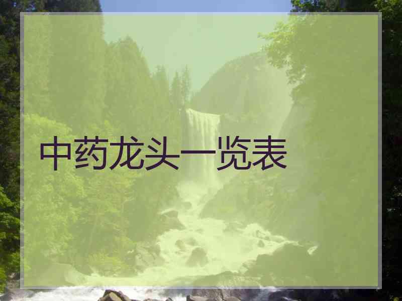 中药龙头一览表