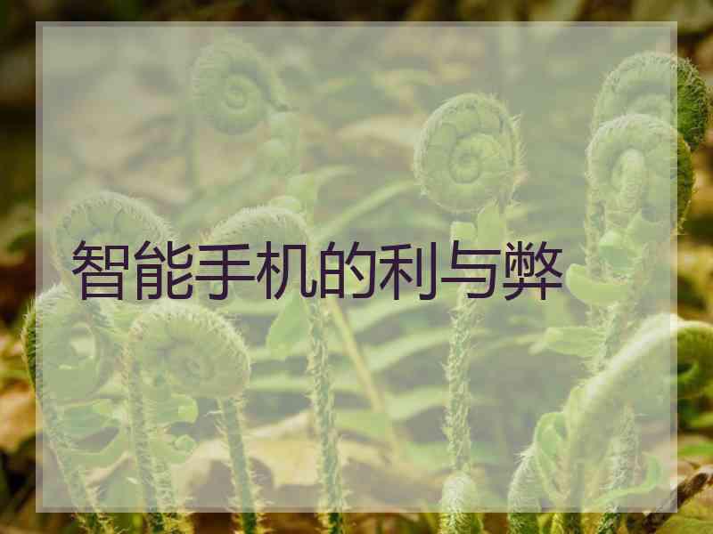 智能手机的利与弊