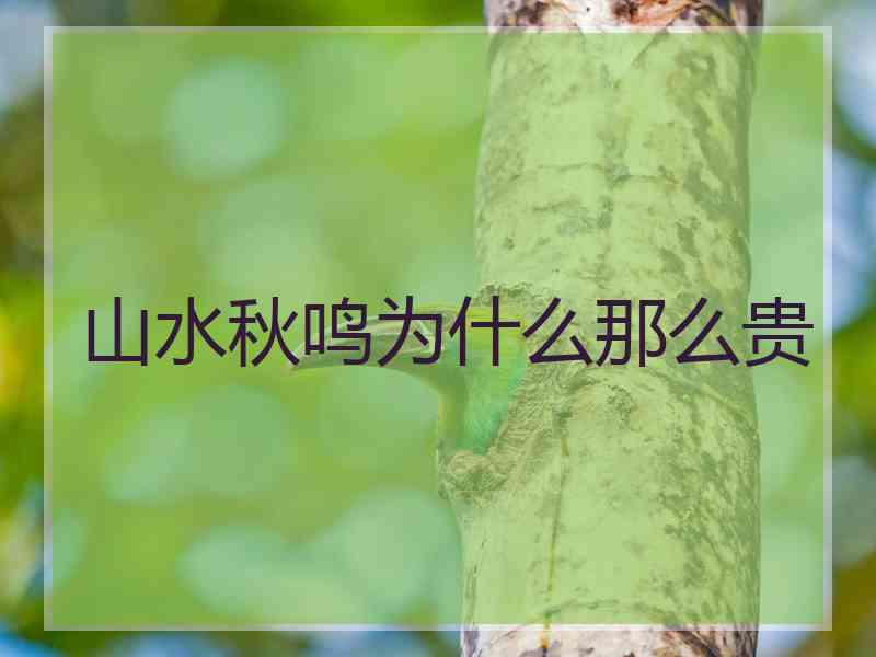 山水秋鸣为什么那么贵