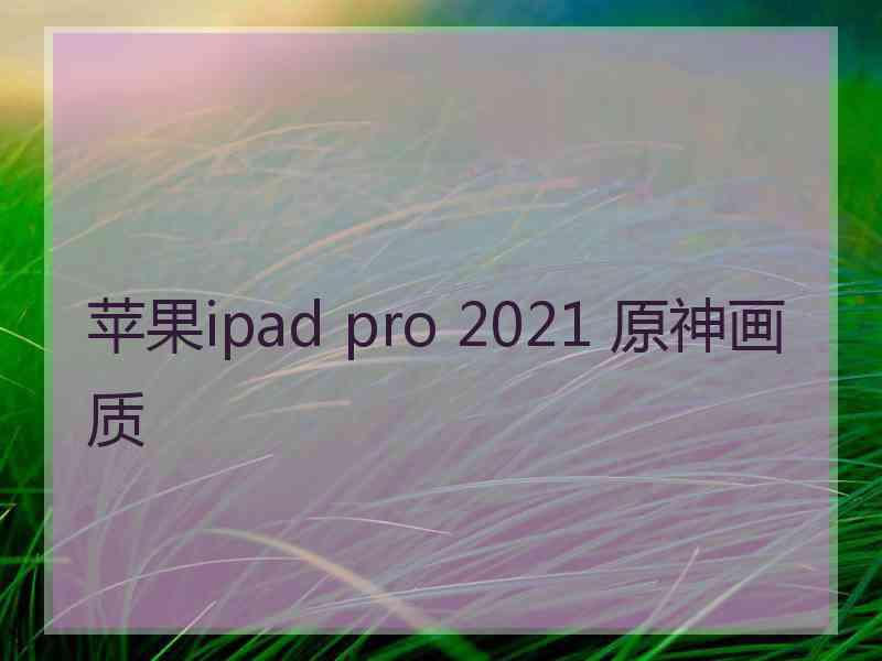 苹果ipad pro 2021 原神画质