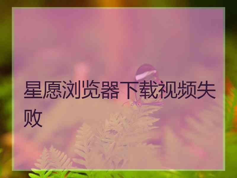 星愿浏览器下载视频失败