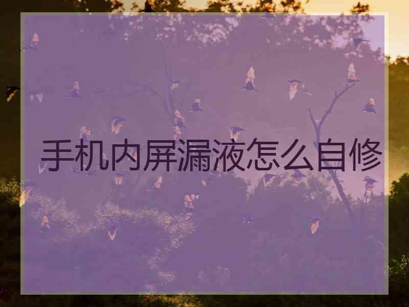 手机内屏漏液怎么自修