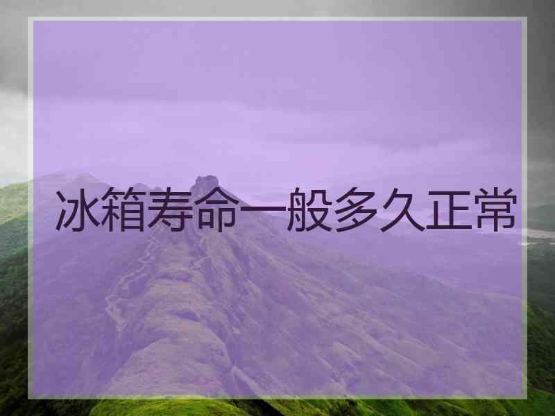 冰箱寿命一般多久正常