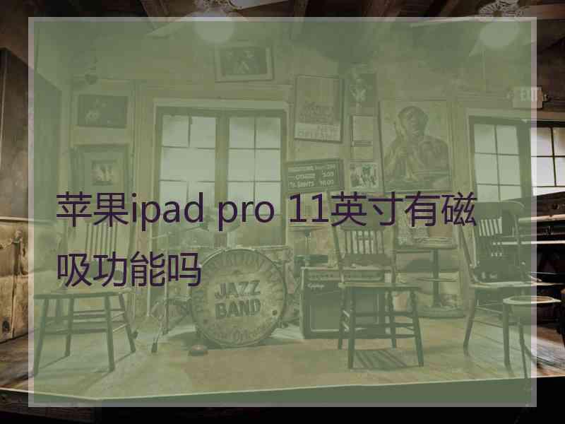 苹果ipad pro 11英寸有磁吸功能吗