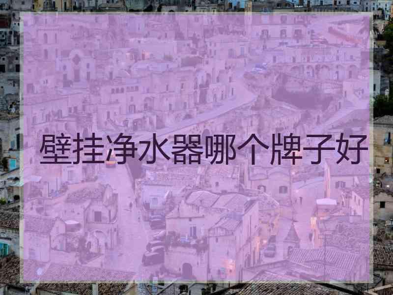 壁挂净水器哪个牌子好