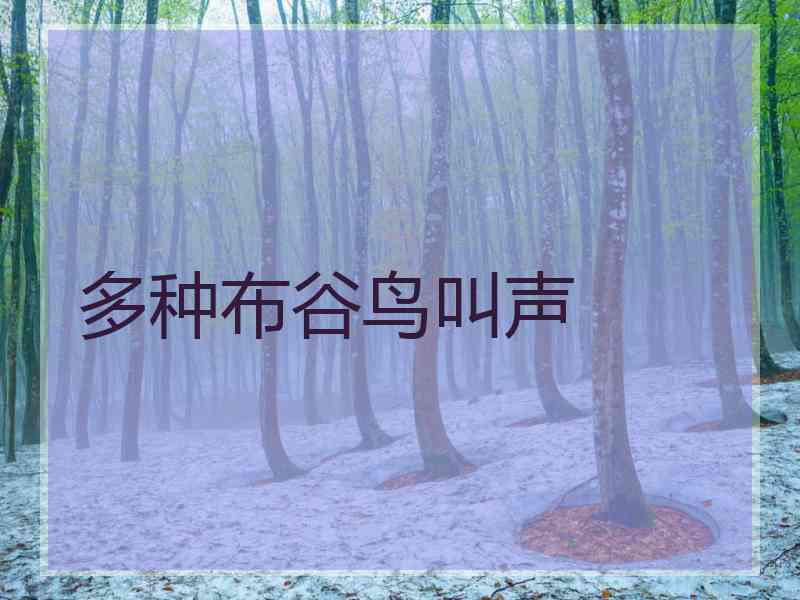 多种布谷鸟叫声