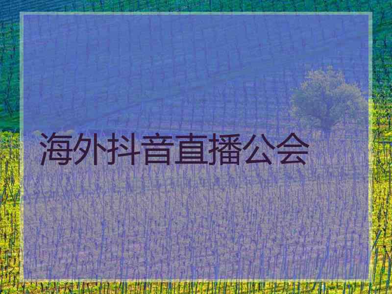 海外抖音直播公会
