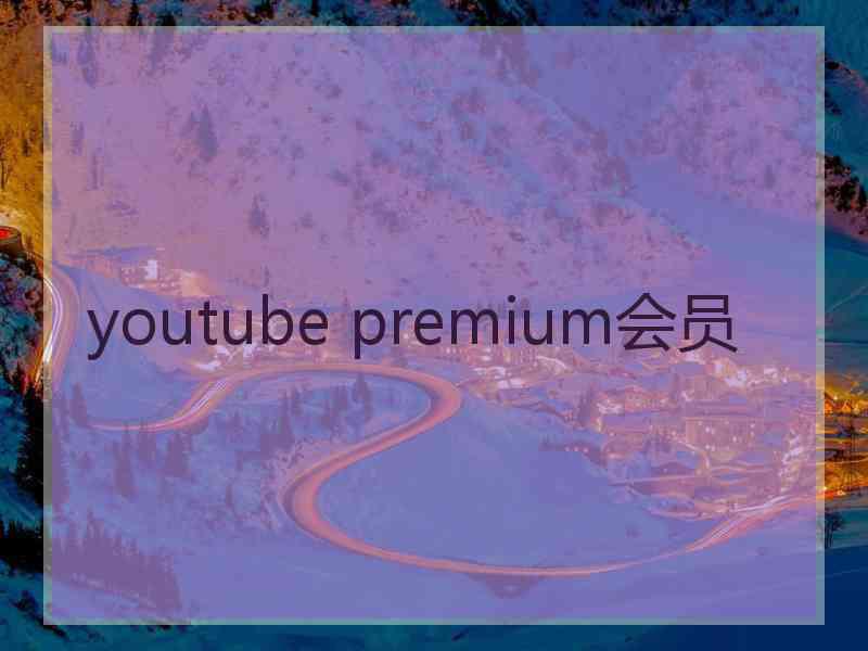 youtube premium会员