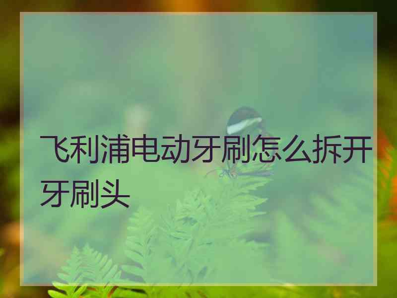 飞利浦电动牙刷怎么拆开牙刷头
