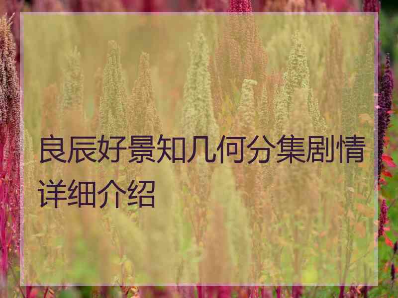 良辰好景知几何分集剧情详细介绍