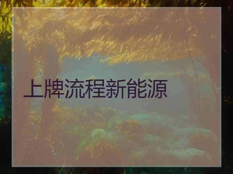 上牌流程新能源