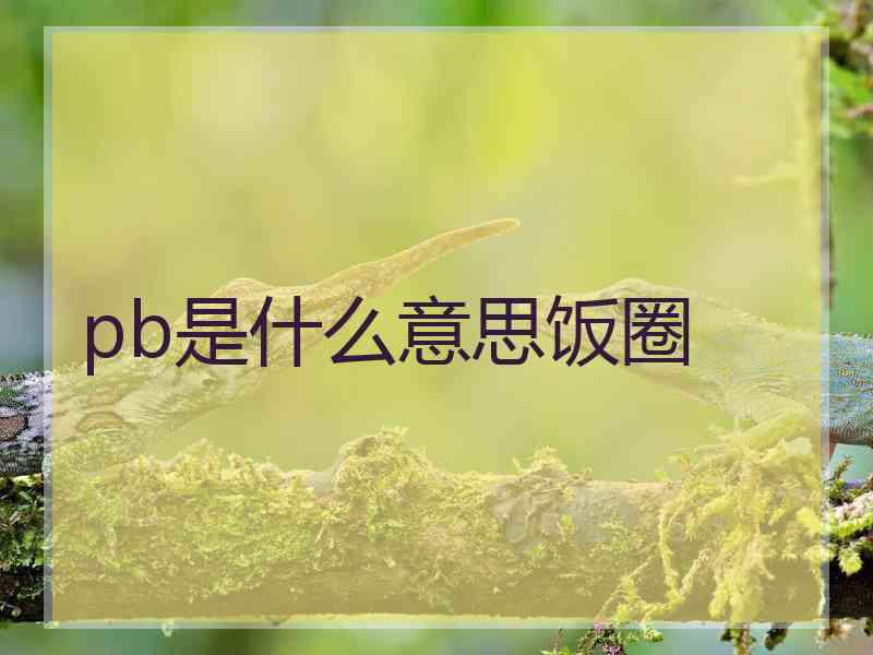 pb是什么意思饭圈