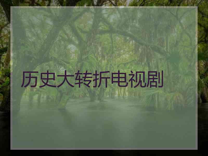 历史大转折电视剧