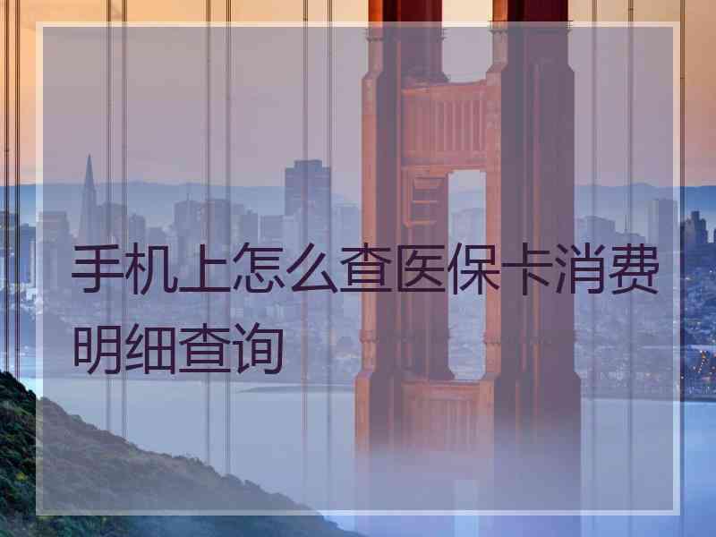 手机上怎么查医保卡消费明细查询