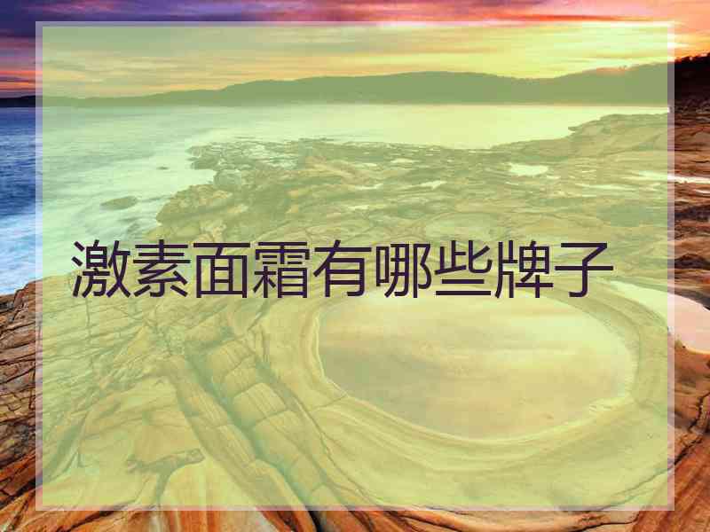 激素面霜有哪些牌子