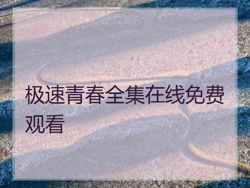 极速青春全集在线免费观看
