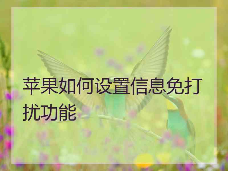 苹果如何设置信息免打扰功能