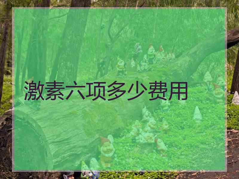 激素六项多少费用