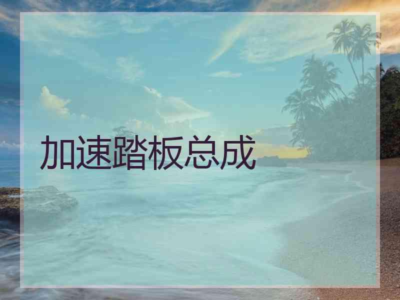加速踏板总成