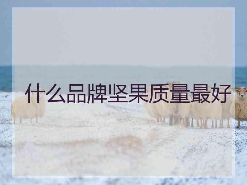 什么品牌坚果质量最好