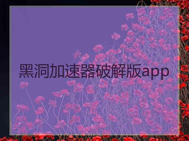 黑洞加速器破解版app