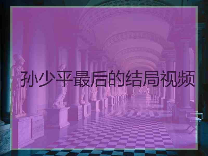 孙少平最后的结局视频