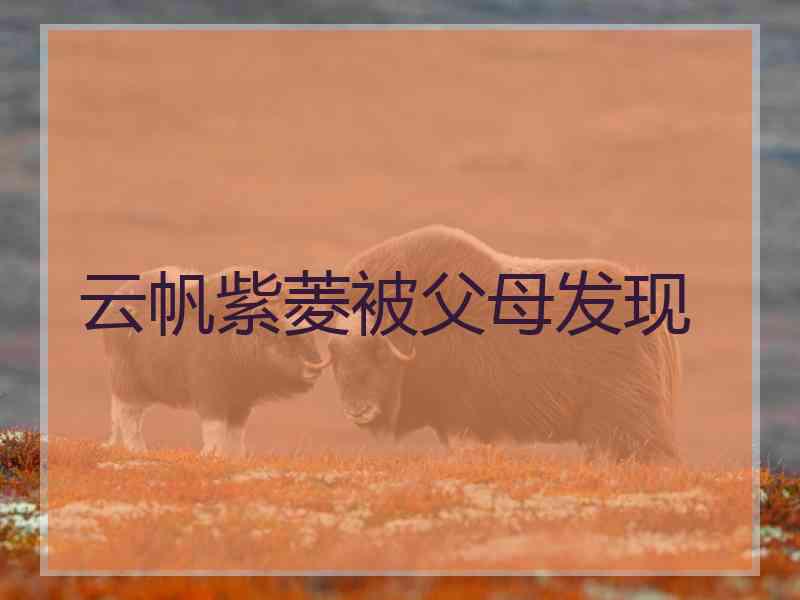 云帆紫菱被父母发现