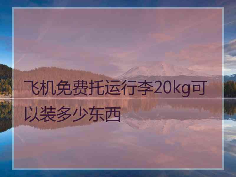 飞机免费托运行李20kg可以装多少东西