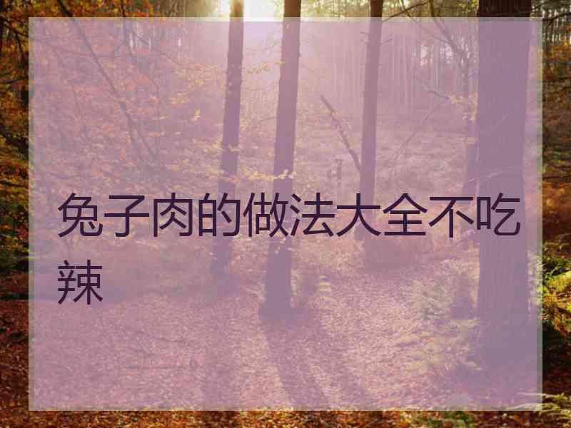 兔子肉的做法大全不吃辣