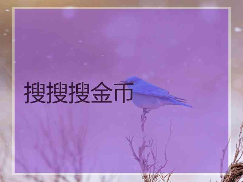 搜搜搜金币