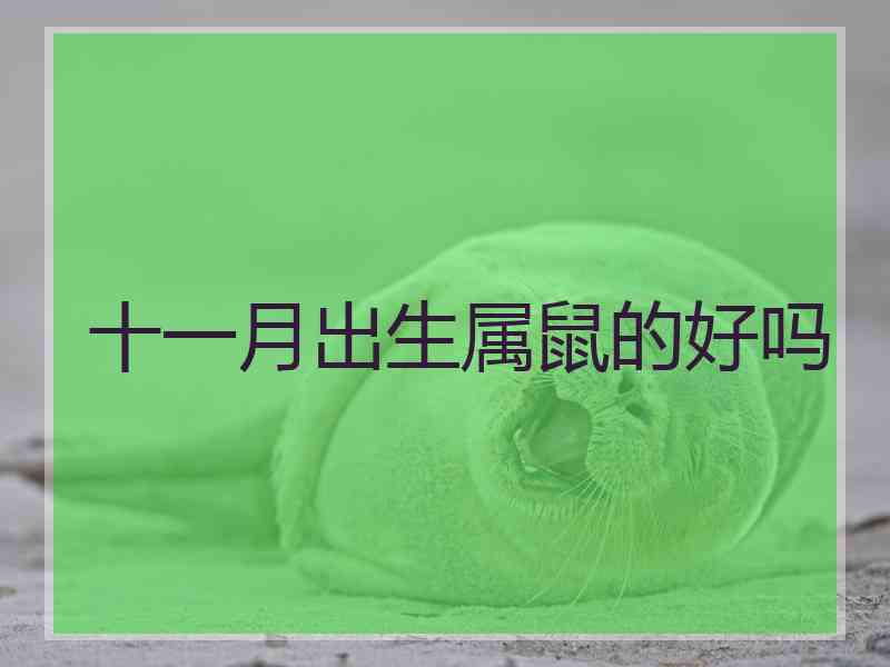 十一月出生属鼠的好吗