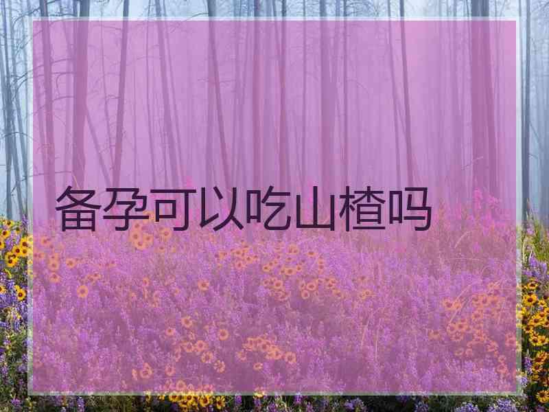 备孕可以吃山楂吗