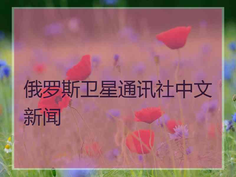 俄罗斯卫星通讯社中文新闻