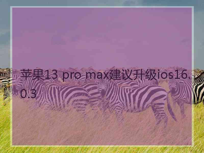 苹果13 pro max建议升级ios16.0.3
