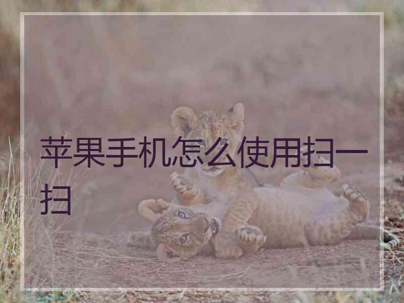 苹果手机怎么使用扫一扫