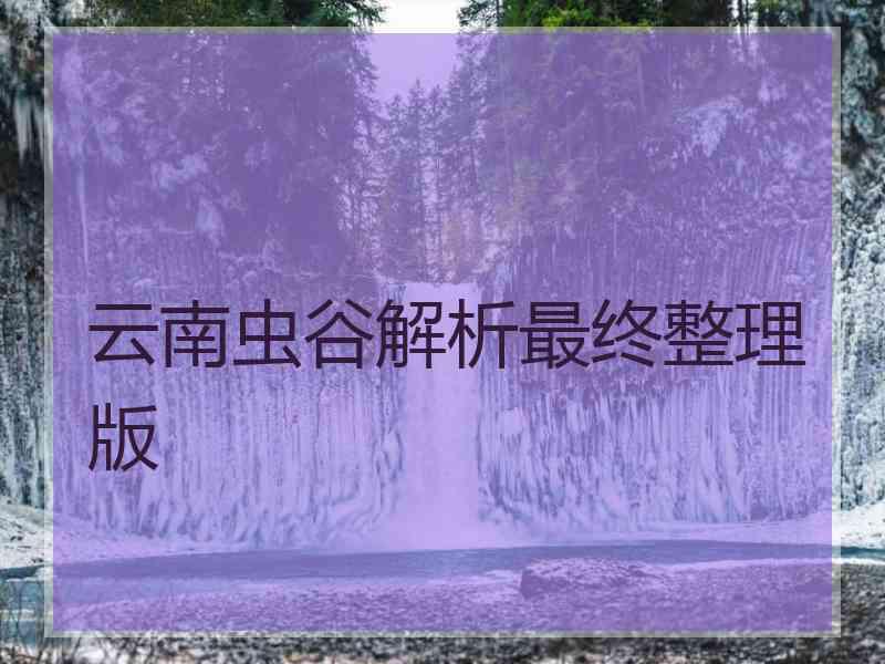 云南虫谷解析最终整理版