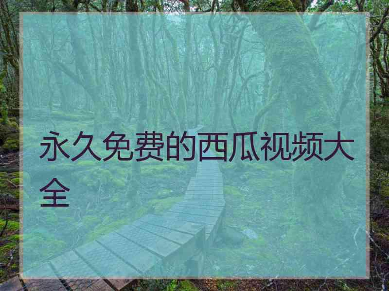 永久免费的西瓜视频大全
