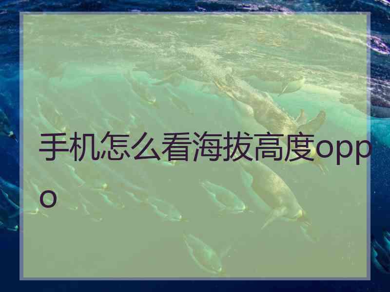 手机怎么看海拔高度oppo