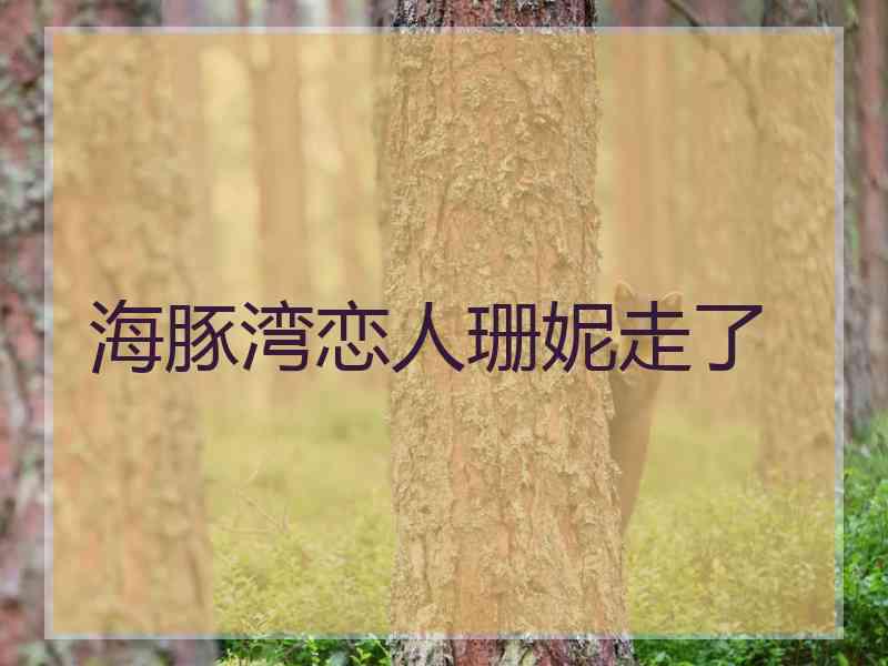 海豚湾恋人珊妮走了
