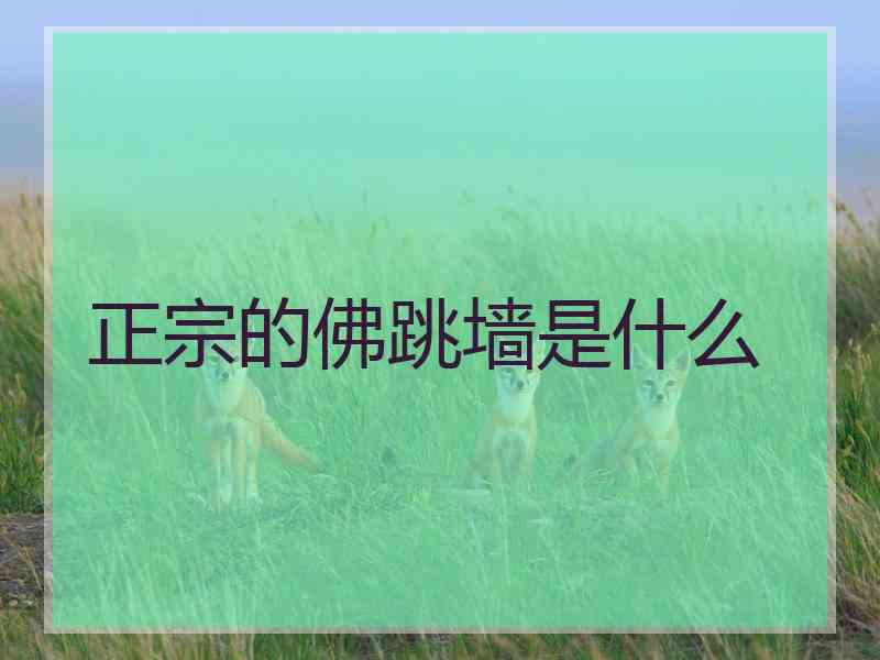 正宗的佛跳墙是什么