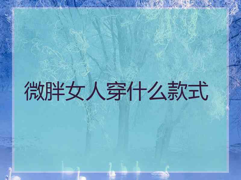 微胖女人穿什么款式