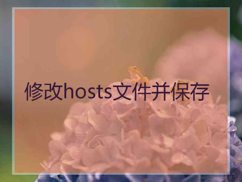 修改hosts文件并保存