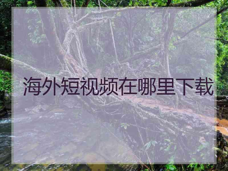 海外短视频在哪里下载