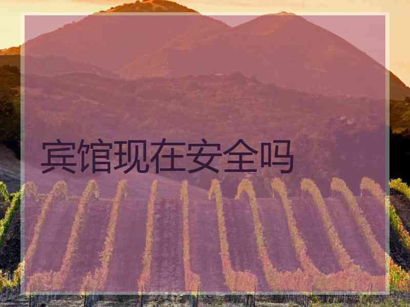 宾馆现在安全吗