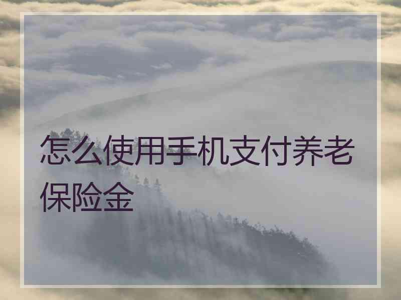 怎么使用手机支付养老保险金