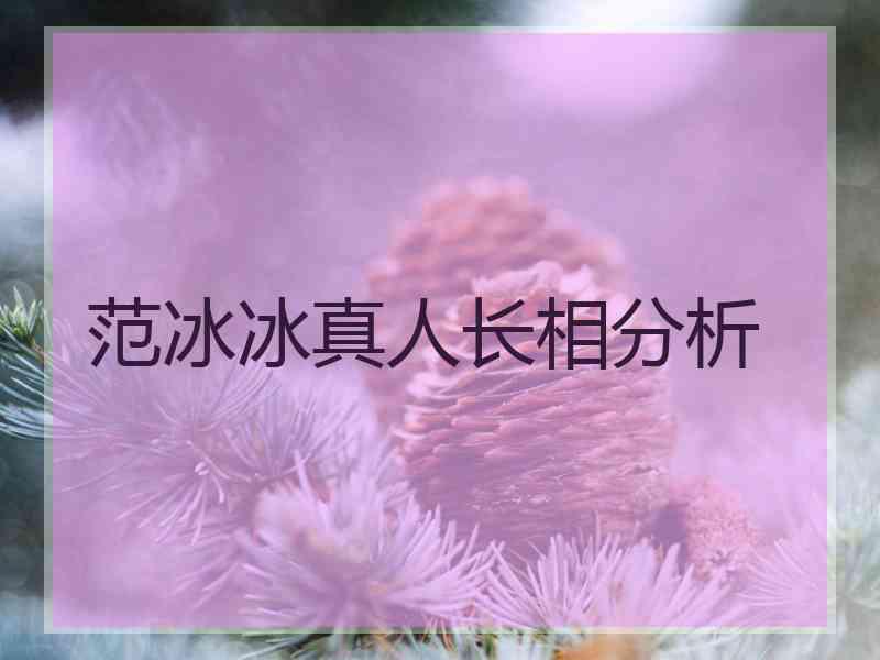 范冰冰真人长相分析