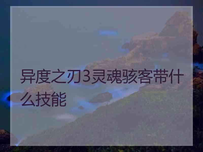 异度之刃3灵魂骇客带什么技能