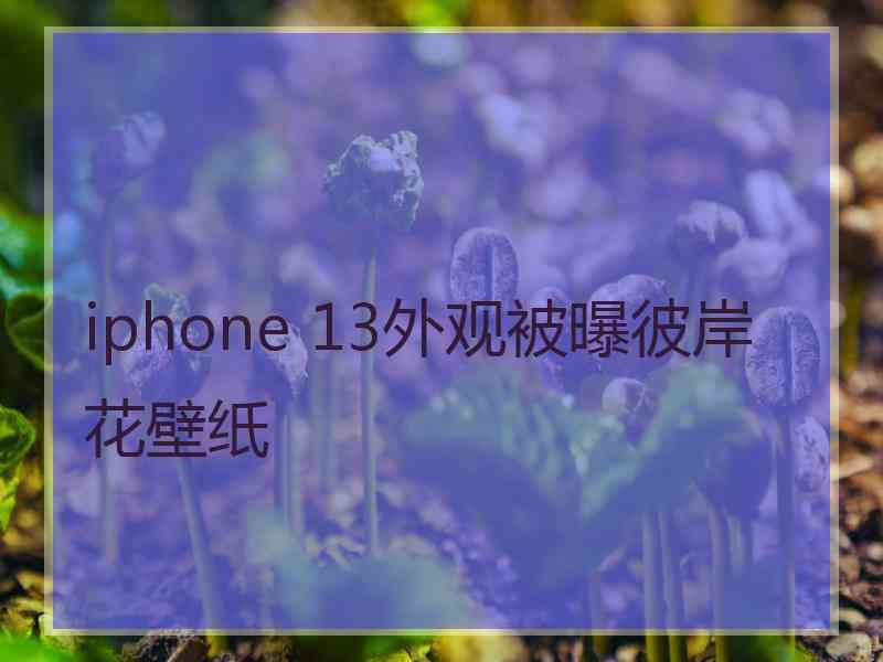 iphone 13外观被曝彼岸花壁纸
