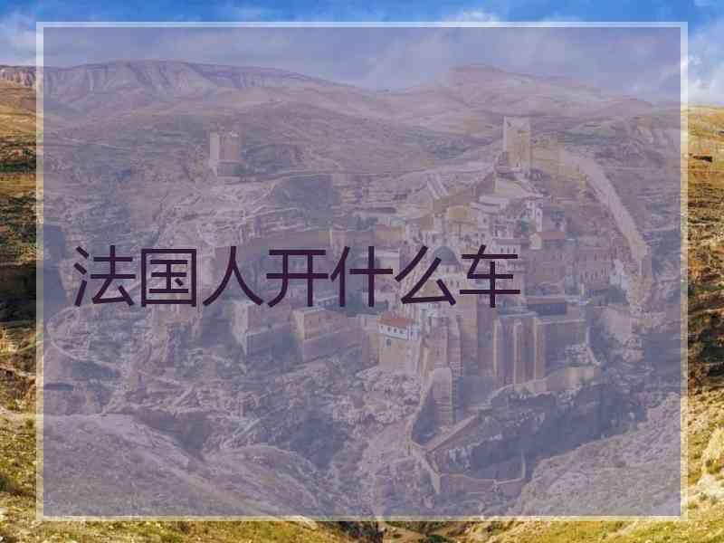 法国人开什么车